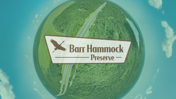 Barr Hammock